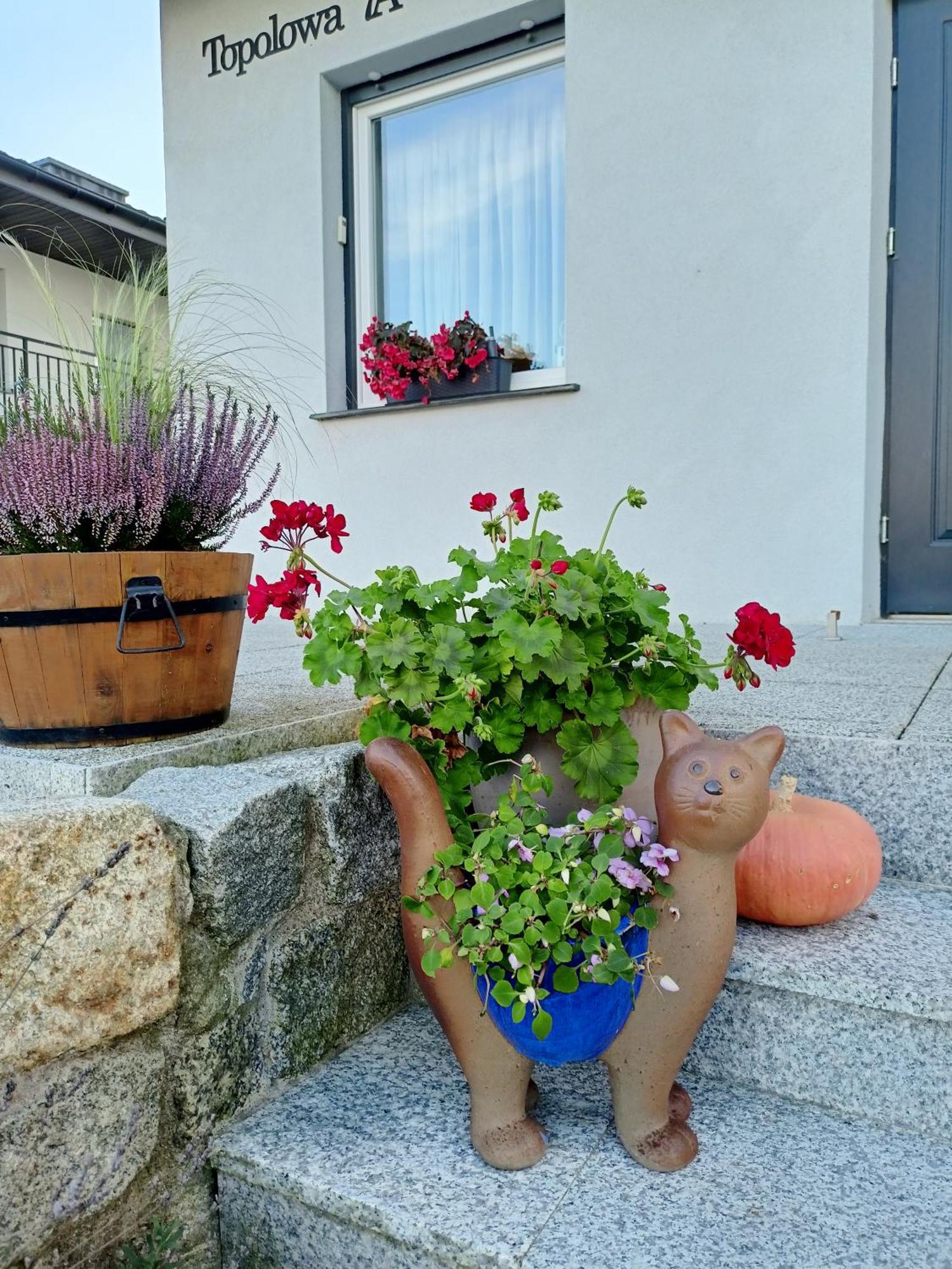 Apartamenty Jasienczyk Mielenko Bagian luar foto