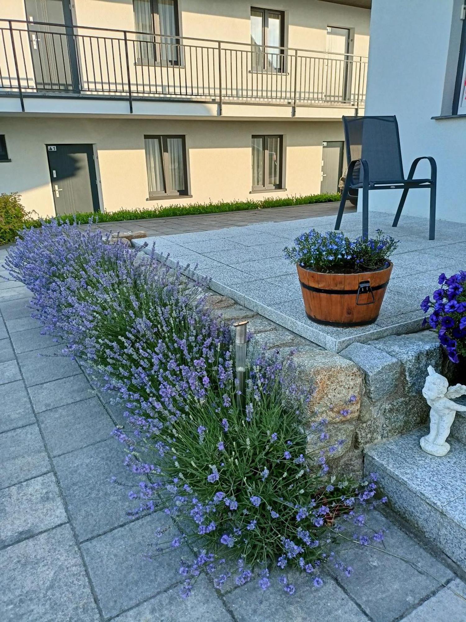 Apartamenty Jasienczyk Mielenko Bagian luar foto