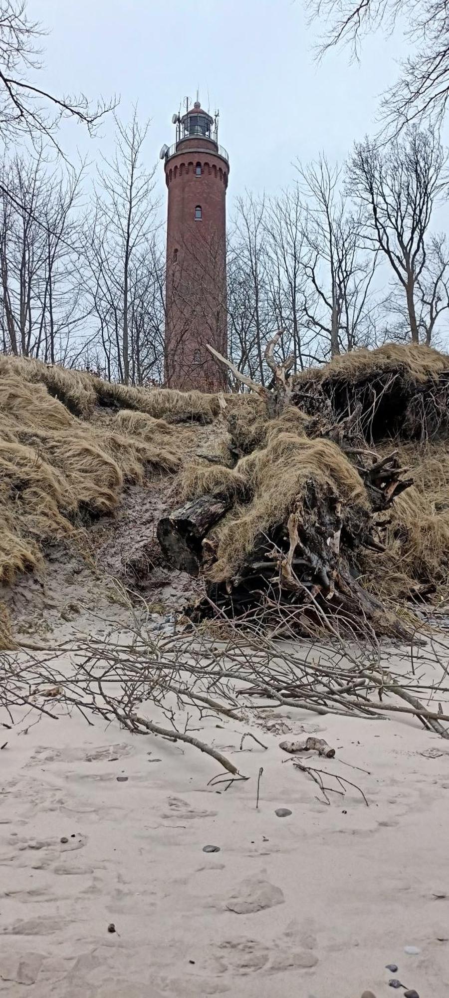 Apartamenty Jasienczyk Mielenko Bagian luar foto